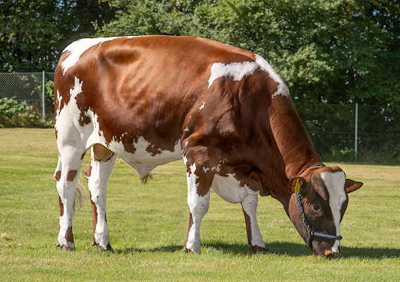 VR Ehler (VR Exter).jpg