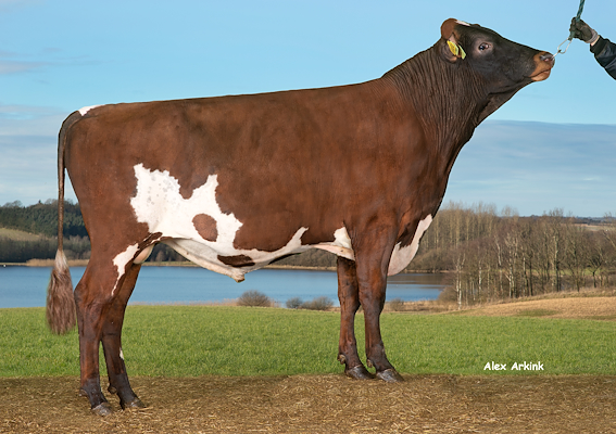 VR Enjac (VR Event).jpg