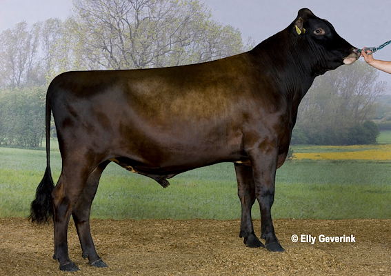 VR Eragon, stb.nr. 37012.jpg