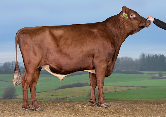 VR Eris (VR Exter).jpg