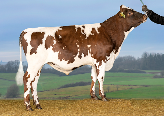 VR Even (VR Eicca).jpg