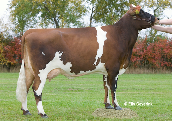 Mor til VR Faber fra Morten Hansen, Vrå