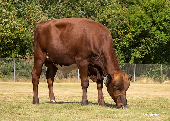 VR Fadil P (VR Fanof P) - scenic.jpg