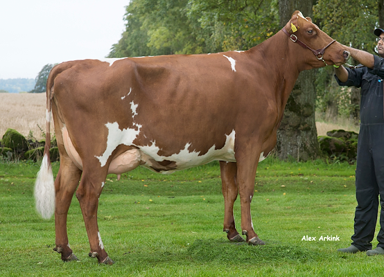 VR Fair-datter fra Nötcenter Viken, Falköping