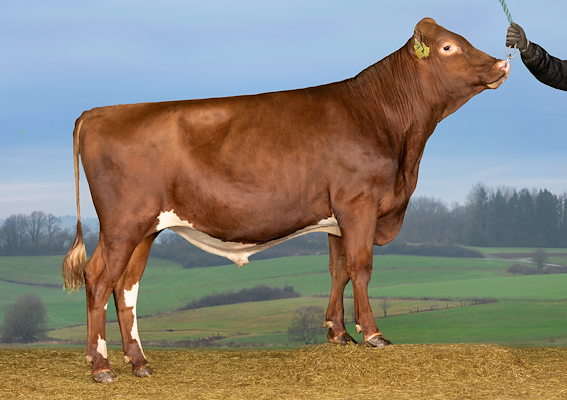 VR Fancy P (VR Floss P).jpg