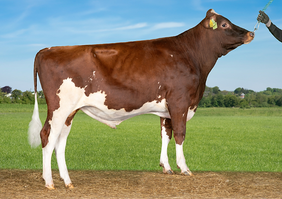 VR Fantast (VR Froggy).jpg