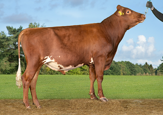 VR Farow (VR Fardal).jpg