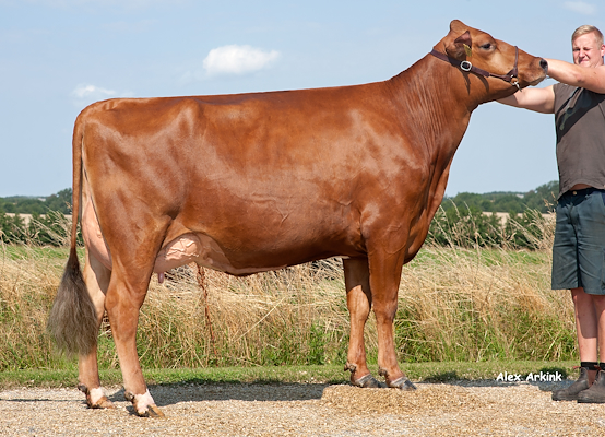 VR Fergus-datter fra Kaj Christensen, Roslev