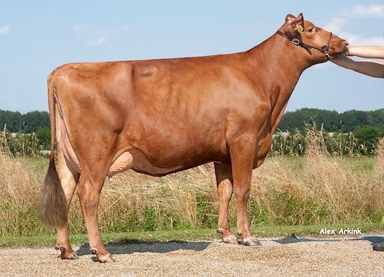 VR Fergus-datter fra Kaj Christensen, Roslev