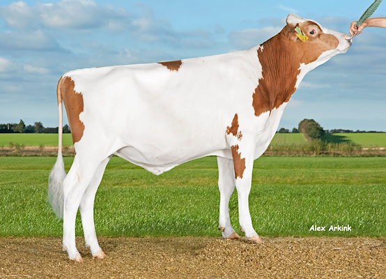 VR Fiat (VR Favre) 37718.jpg