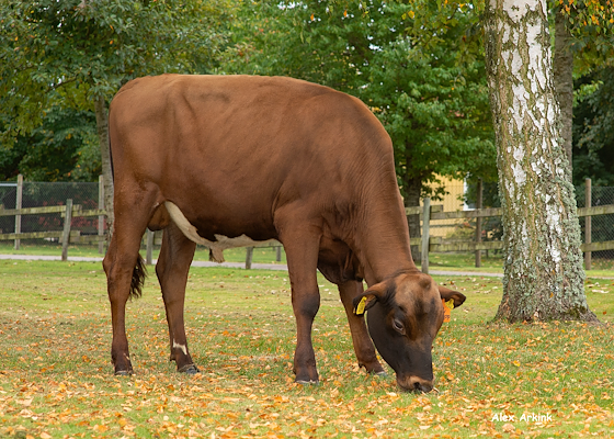 VR Fin-special PP scenic.jpg