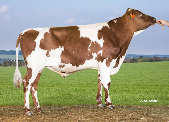 VR Firo 9864 (VR Fritz).jpg