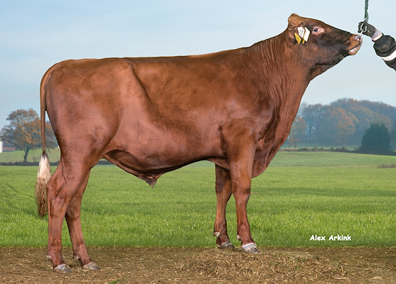 VR Fjerrit (VR Funk).jpg