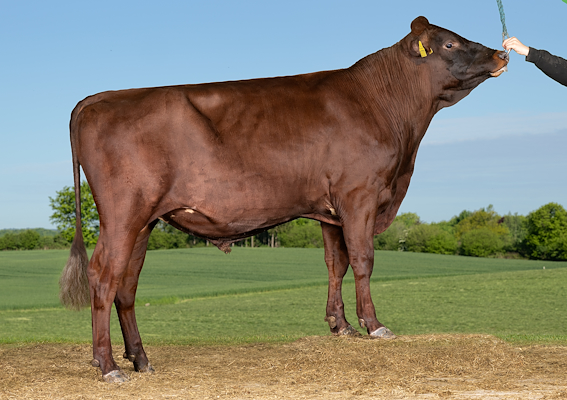 VR Fleur P (VR Florian).jpg