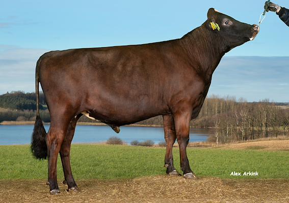 VR Fonzie (VR Flint).jpg