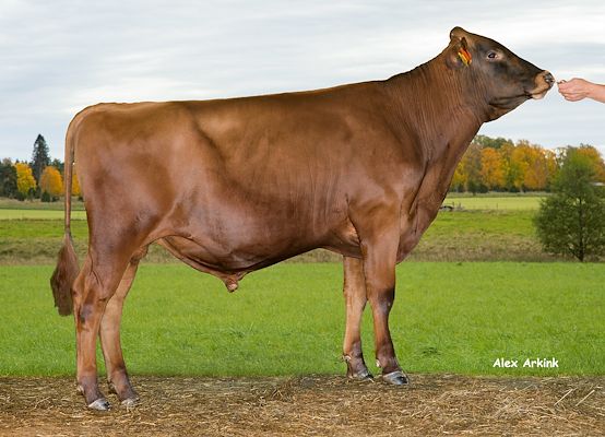 VR Funk 9859 (VR Fritz).jpg