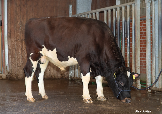 VR Furano (VR Firas).jpg