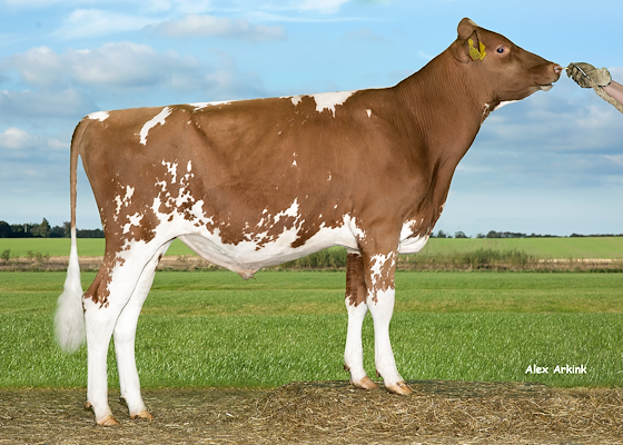 VR Gossip (VR Guidett).jpg