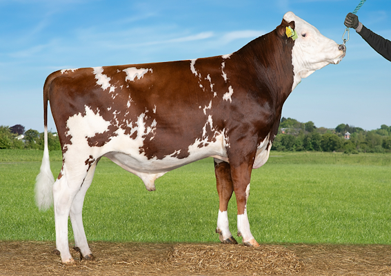 VR Haba (VR Herluf).jpg