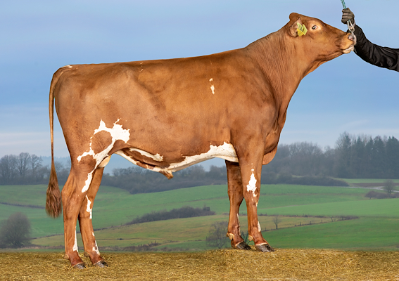 VR Haken (VR HavcarP).jpg