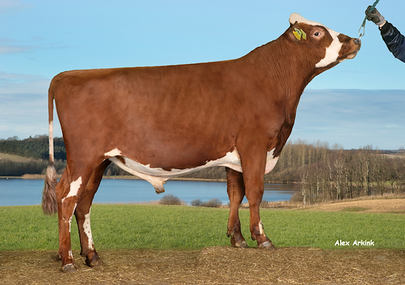 VR Halcro (VR Herluf).jpg