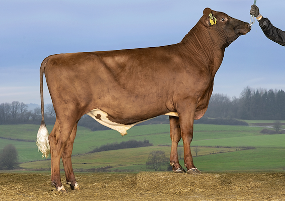 VR Haloo P (VR Hamze P).jpg