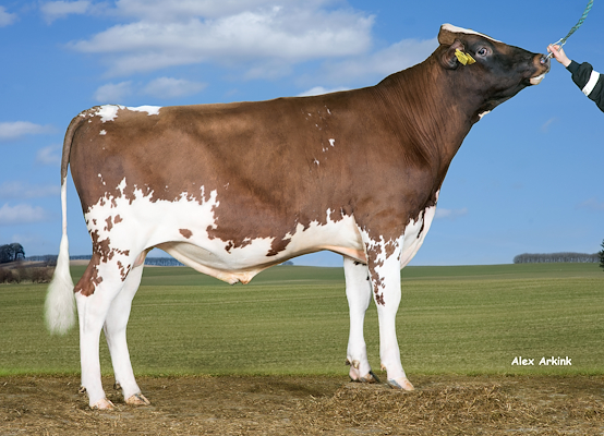 VR Hashtag (VR Hielke).jpg