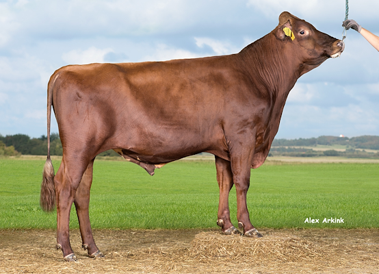 VR Heikki (VR Hazze).jpg