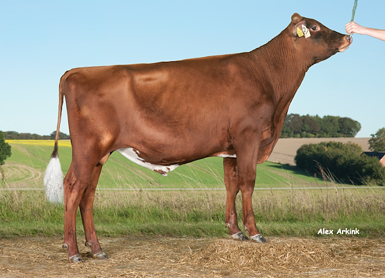 VR Hel P (VR Helix) 37715.jpg