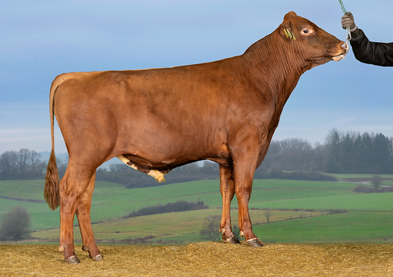 VR Hetz P (VR HavcarP).jpg