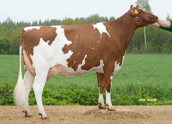 VR Hielke-datter fra Finland