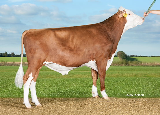 VR Hielke (VR Haltia) 37687.jpg