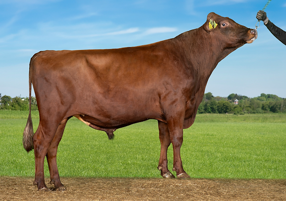 VR Hillmer (VR Henry).jpg