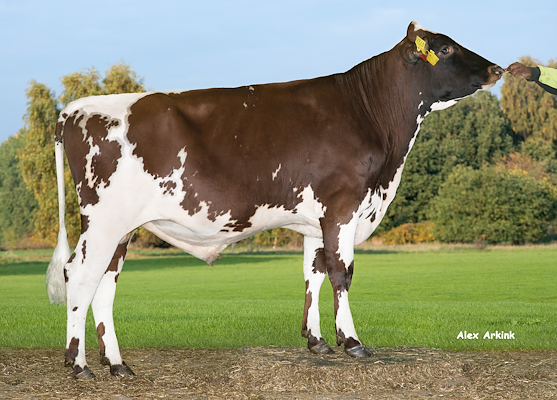 VR Hilltop (VR Herbert).jpg