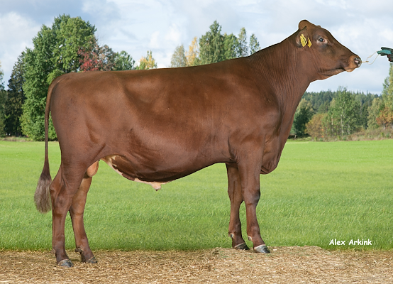 VR Hiphop (VR Hilbert).jpg