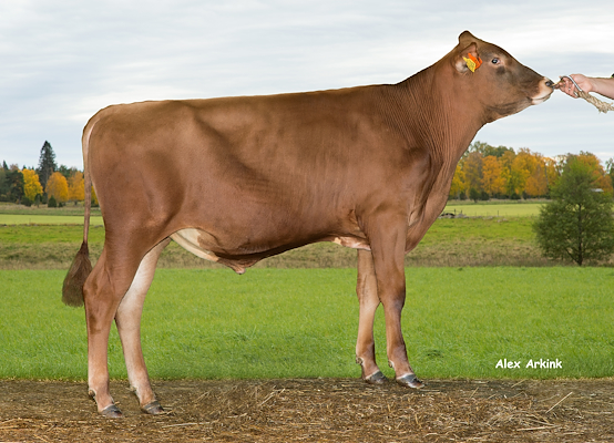 VR Hipster 9867 (VR Hilbert).jpg