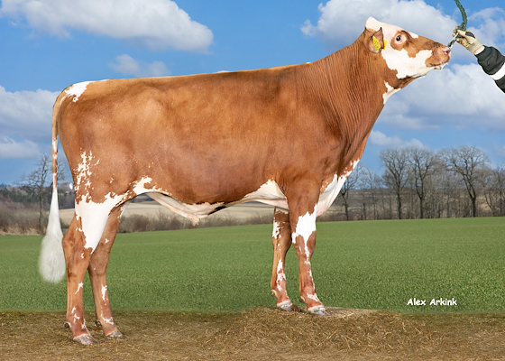 VR Hive (VR Hohde).jpg