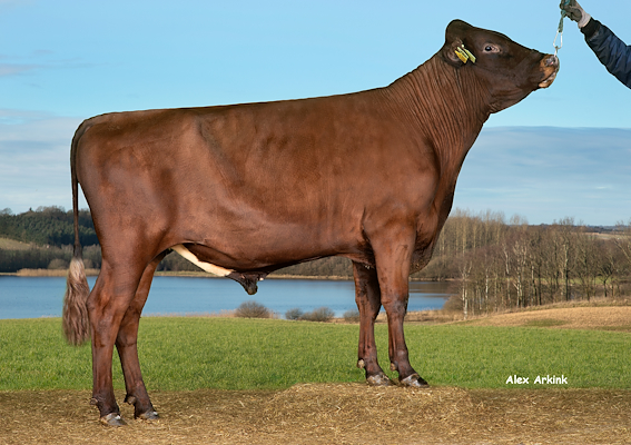 VR Hola (VR Henry).jpg