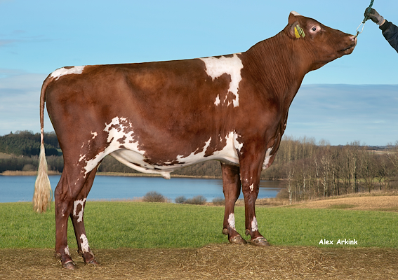 VR Hosten P (VR Hage P).jpg