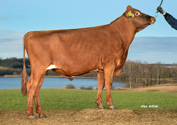 VR Huhta P (VR Hasp P).jpg