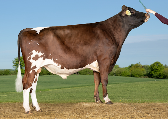 VR Hyde (VR Hiking).jpg