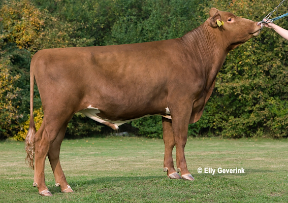 VR Rankin (V Record) no 37304.jpg