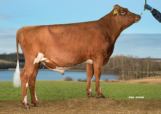 VR Safir (VR Shot).jpg