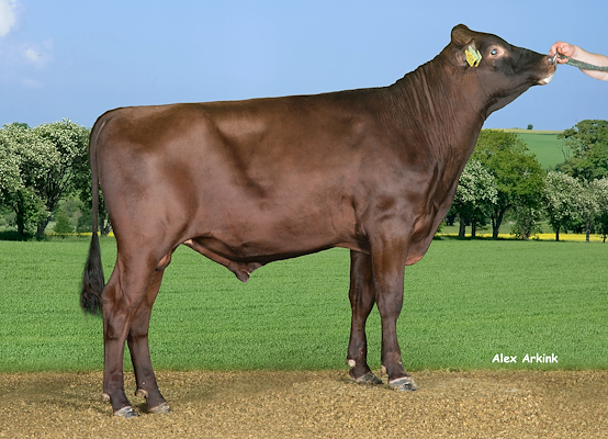 VR Tanner no 37770 (VR Tacoma).jpg