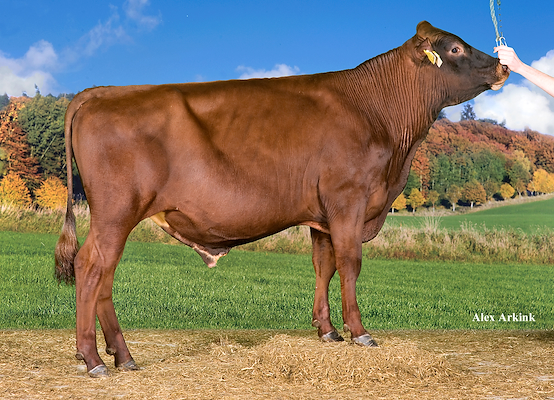 VR Thiago (VR Tuomi) 37535.jpg