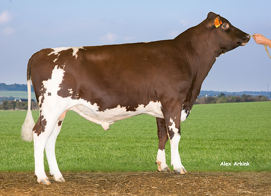 VR Ulf 9851 (VR Umbro).jpg