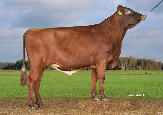 VR UlslevP (VR Ulian P).jpg