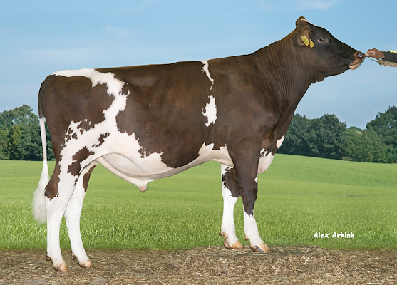 VR Uncca (VR Utu).jpg