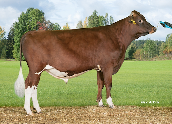 VR Urjala (VR Umbro).jpg