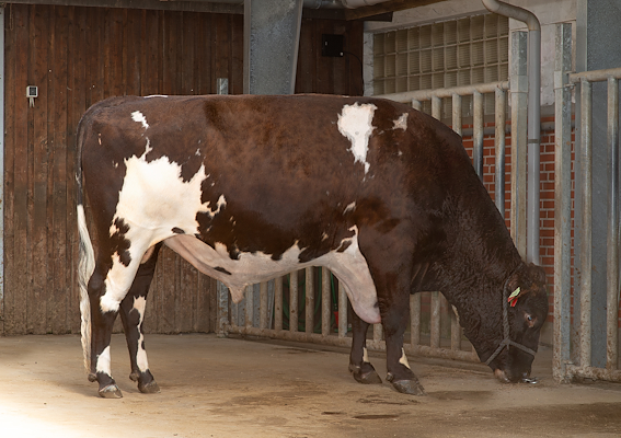 VR Vehmaa (VR Vimo).jpg